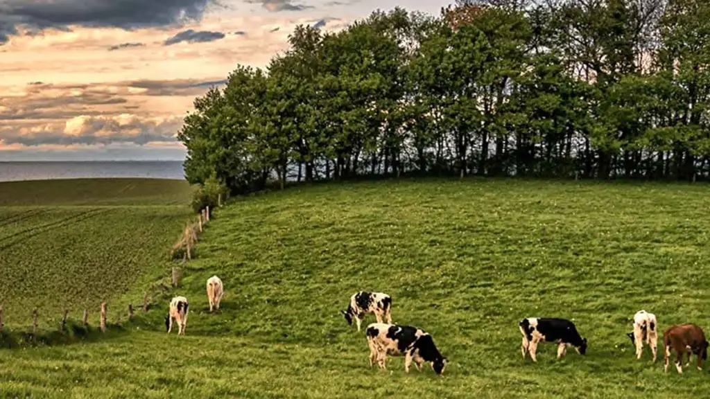 Nueva modalidad para tramites subdivisión predios rústicos, SAG