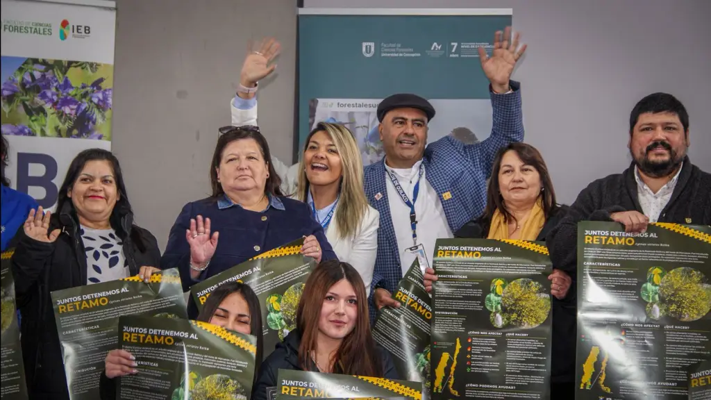 Mesa de trabajo para erradicar el retamo en Antuco, La Tribuna