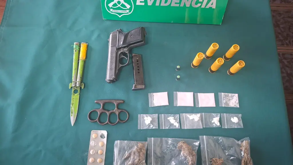 Especies incautadas por Carabineros de Laja, Cedida