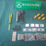 Especies incautadas por Carabineros de Laja, Cedida