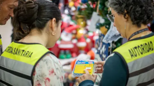 Fiscalizan venta de dulces por Halloween en el Biobío: 7 sumarios sanitarios por incumplir Ley de Etiquetado