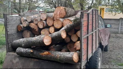 En flagrancia detienen a dos personas por sustraer madera desde predios particulares en Tucapel