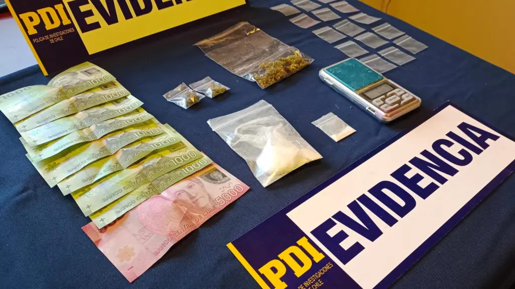 Especies incautadas por la PDI de Pitrufquen., PDI Araucanía