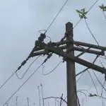 Carabineros de la subcomisaría de Cabrero se trasladaron al lugar., contexto.