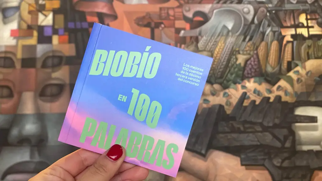 Biobío en 100 palabras, cedida