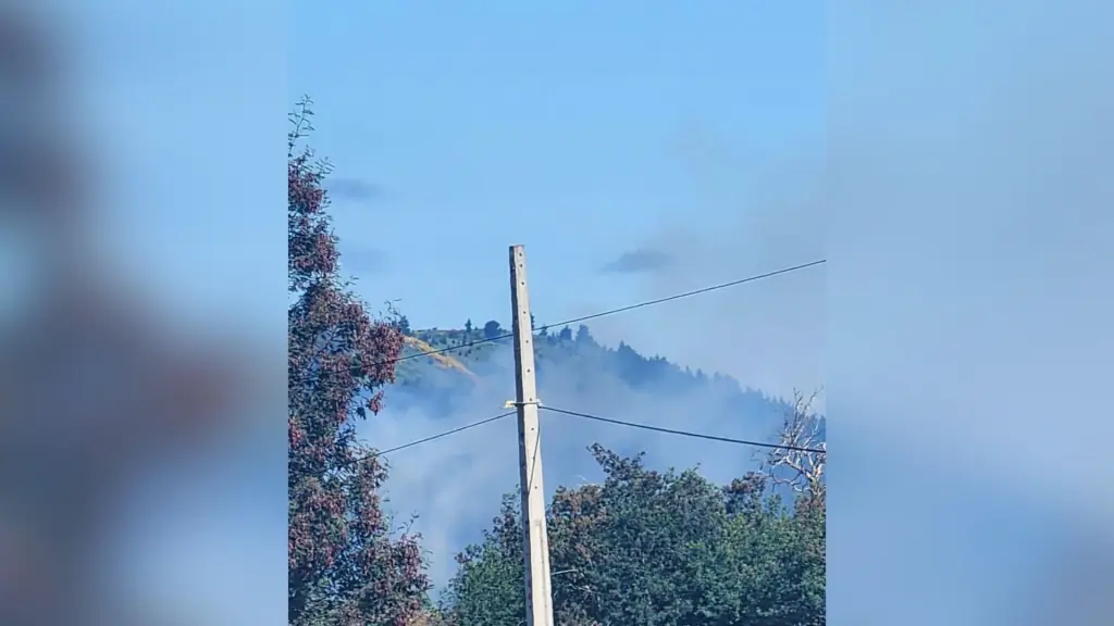 Vecinos de Mulchén reportan densa nube de humo visible desde distintos puntos de la comuna, Información en Línea Mulchén