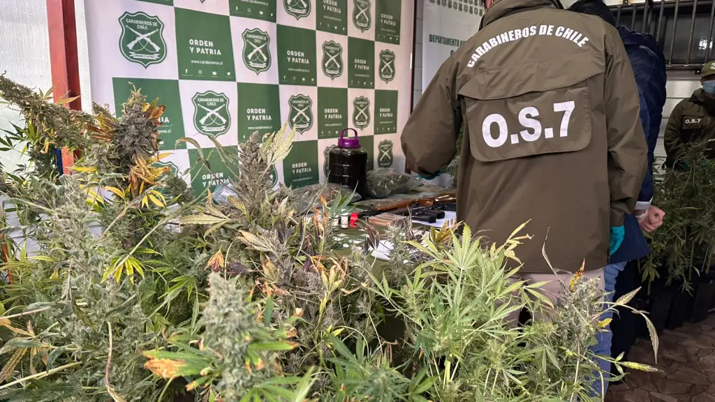 Operativo antidrogas en Valdivia, Fiscalía de Los Ríos