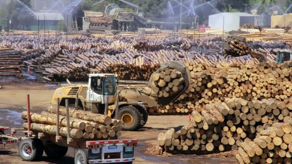 Gremios forestales advierten impacto “desproporcionado” por caída de precios y tensiones con EE.UU., Cedida