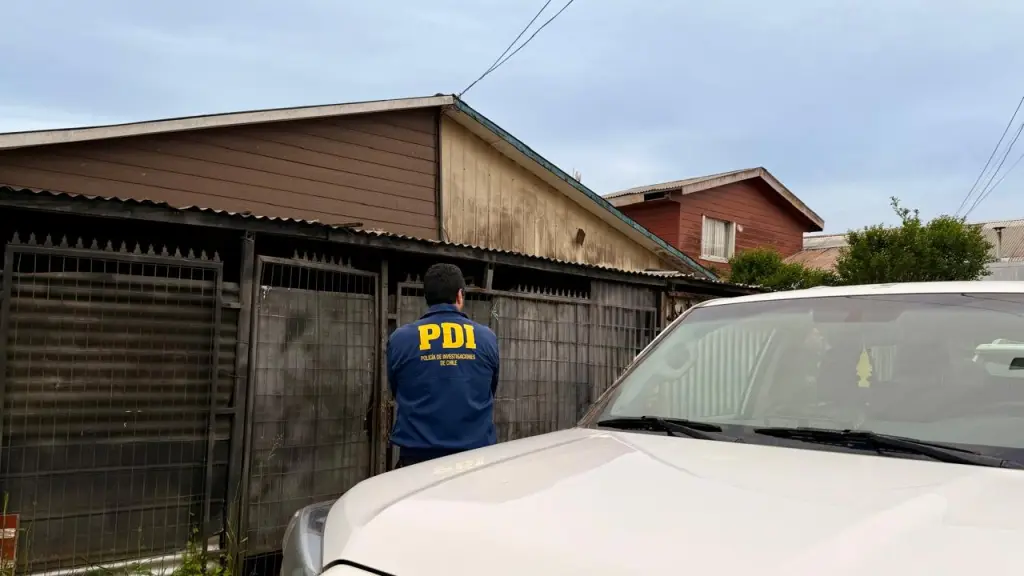 Las diligencias fueron lideradas por detectives de la Brigada de Investigaciones Policiales Especiales y Antisecuestros de Temuco, Cedida