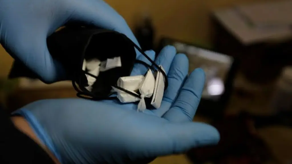 Operativo antidrogas realizado en Victoria, PDI Araucanía