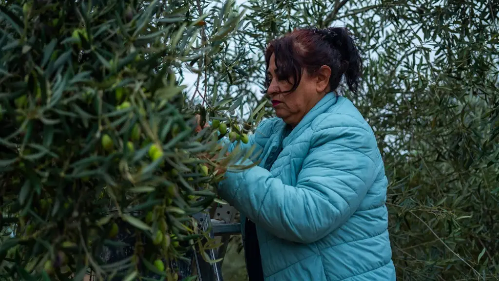 José Miguel Stegmeier enfatizó que es absolutamente necesario garantizar la seguridad en el sector rural, pues actualmente uno de los principales factores que obstaculizan el trabajo cotidiano. / El Comunal