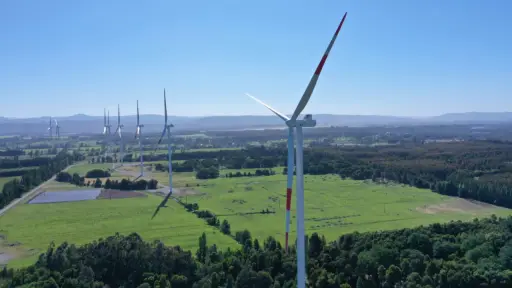 Aceleración de 31 proyectos busca impulsar energías limpias y reactivación forestal en la provincia