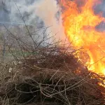 Conaf restringe las quemas agrícolas y forestales en toda la provincia de Biobío, Archivo