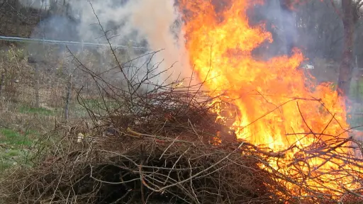 Conaf restringe las quemas agrícolas y forestales en toda la provincia de Biobío