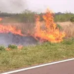 Detenido por quema de pastizales en Mulchen, La Tribuna
