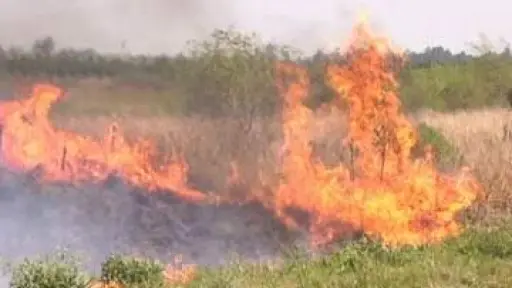 Detenido por quema de pastizales sin autorización en Mulchén