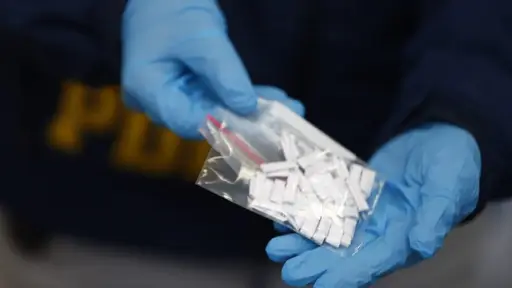 Operativo culmina con el arresto de un hombre por microtráfico de drogas en Carahue