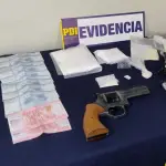 Especies incautadas por la PDI , PDI Araucanía