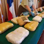 Más de 32 kilos de marihuana arrojó un operativo liderado por el O.S.7 en Cabrero., La Tribuna