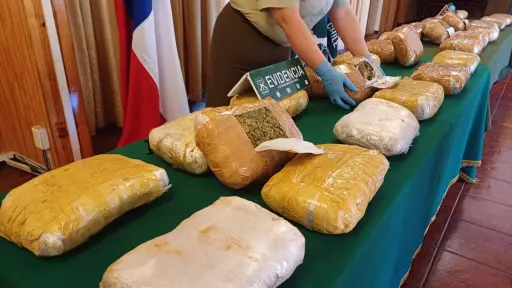 A la altura de Cabrero: Incautan 32 kilos de marihuana en control carretero en la Ruta 5 Sur