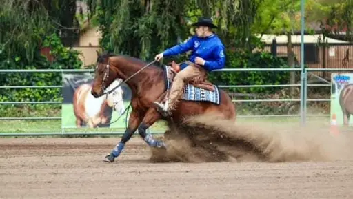 Chile Reining inició su temporada 2025-2026 con la Copa Los Cóndores en San Bernardo