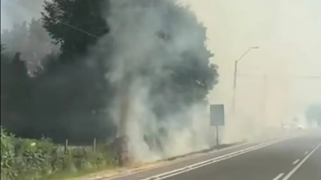 Incendio de pastizales y bodega camino Santa Clara, Los Ángeles Informa