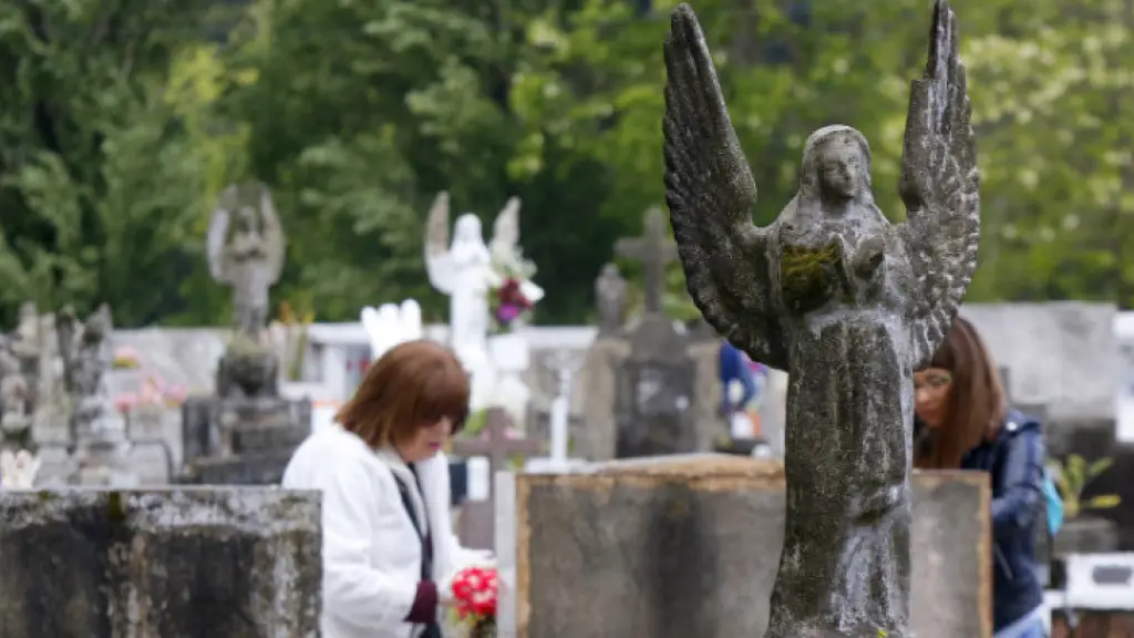 Refuerzan fiscalizaciones en terminales y rutas del Biobío por fin de semana largo, Cedida 