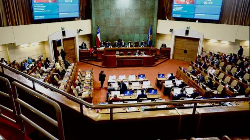 Derecho, educación e ingeniería: las trayectorias de los diputados electos por el distrito 21