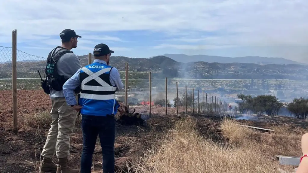 Incendio Forestal Limache , X | @puranoticia