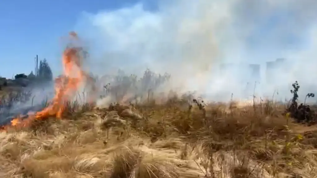 Nuevo incendio de pastizales en sitio eriazo de Los Ángeles , Diario La Tribuna
