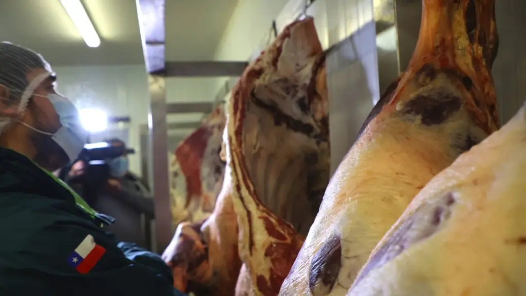 Según detalló la asociación gremial, la crisis compromete la confianza de mercados y compradores extranjeros. / INoticias.cl