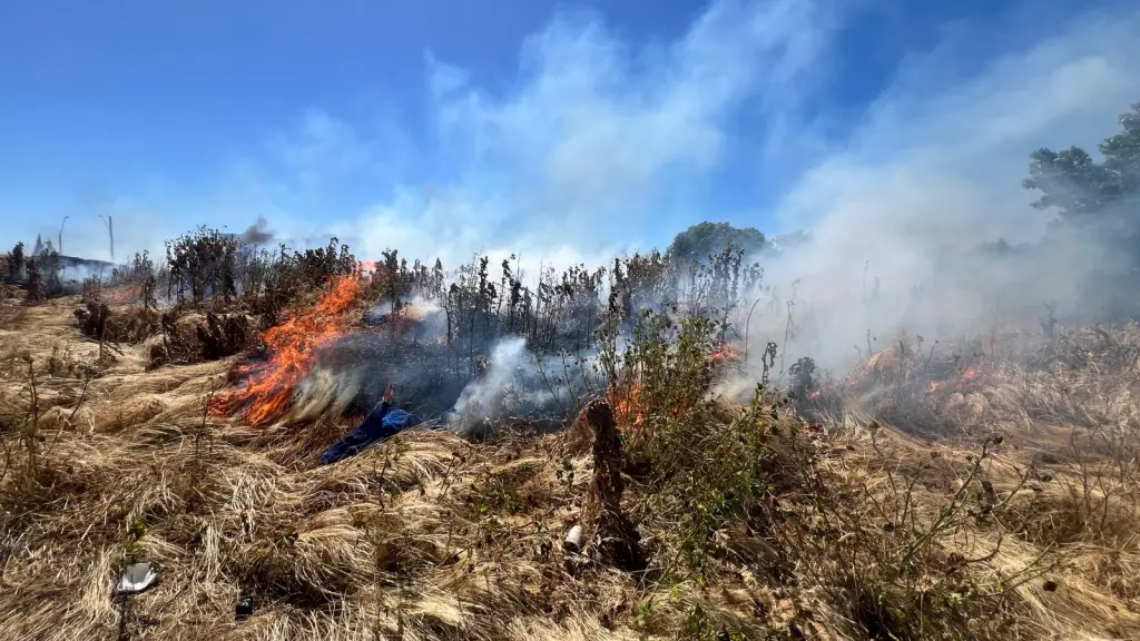 Incendio de pastizales en Los Ángeles, Esteban Sepúlveda 