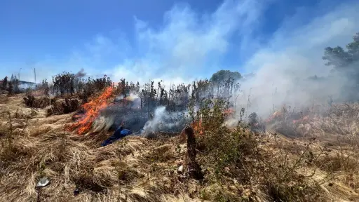 Incendio de pastizales afectó una hectárea y media en un sitio eriazo de Los Ángeles