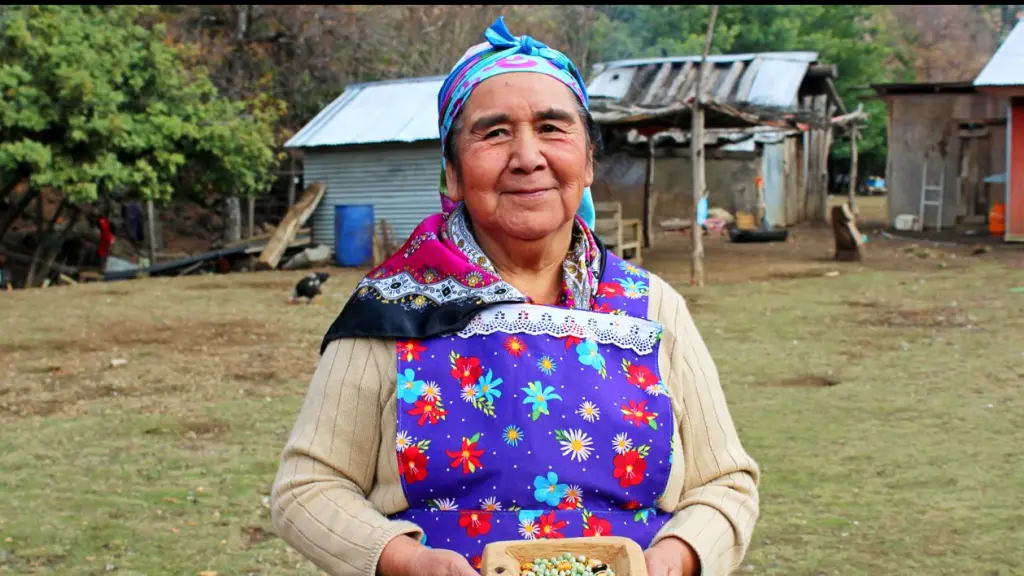 El reconocimiento fue resultado de más de cinco años de trabajo conjunto entre instituciones públicas del agro, la FAO, el mundo académico y la comunidad mapuche pehuenche, Cedida