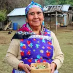El reconocimiento fue resultado de más de cinco años de trabajo conjunto entre instituciones públicas del agro, la FAO, el mundo académico y la comunidad mapuche pehuenche, Cedida