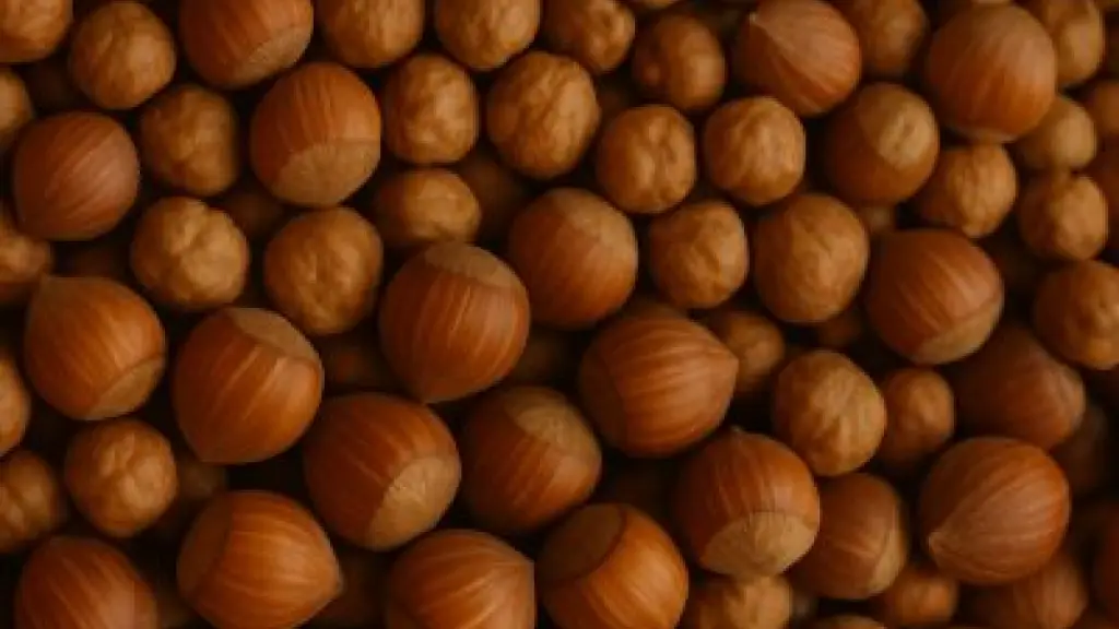 Se estima que las plantaciones nacionales de avellano europeo podrían aumentar entre 4.800 a 5.000 nuevas hectáreas en los próximos dos años. / Comité del Avellano