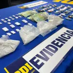 Especies incautadas en Dichato, PDI Biobío