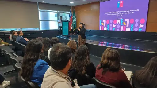 Región refuerza acciones contra la violencia de género: llaman a la corresponsabilidad social