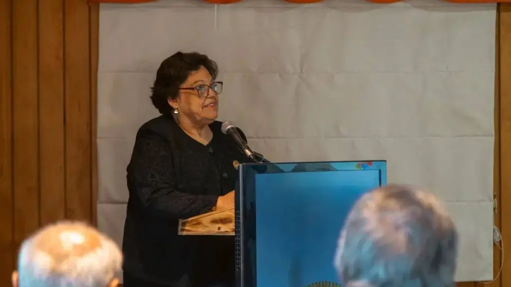 Mulchén: confirman dimisión de jefa del DAEM tras proceso judicial por atropello