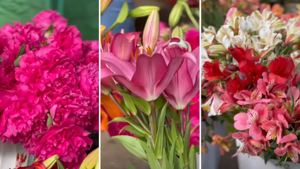 Los Ángeles se llena de color con una nueva versión de la Expo Flores , Diario La Tribuna