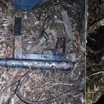 Ampliación detenidos por porte de armas en Contulmo, biobiochile