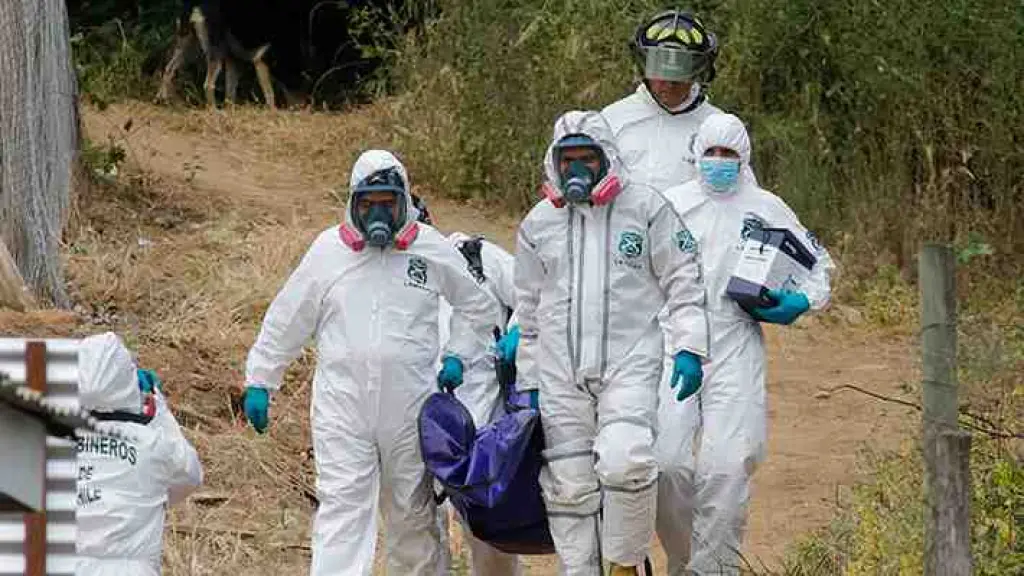 Cuerpos calcinados y descuartizados: Fiscalía confirma “casa de torturas” en San Vicente de Tagua Tagua , Diario La Tribuna