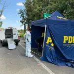 Las diligencias fueron lideradas por detectives de la Brigada de Homicidios de Temuco., PDI Araucanía