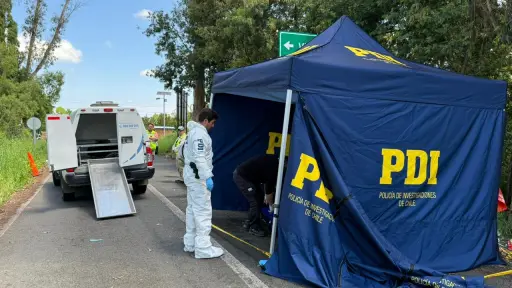 Mujer fue asesinada por su esposo durante viaje familiar en La Araucanía