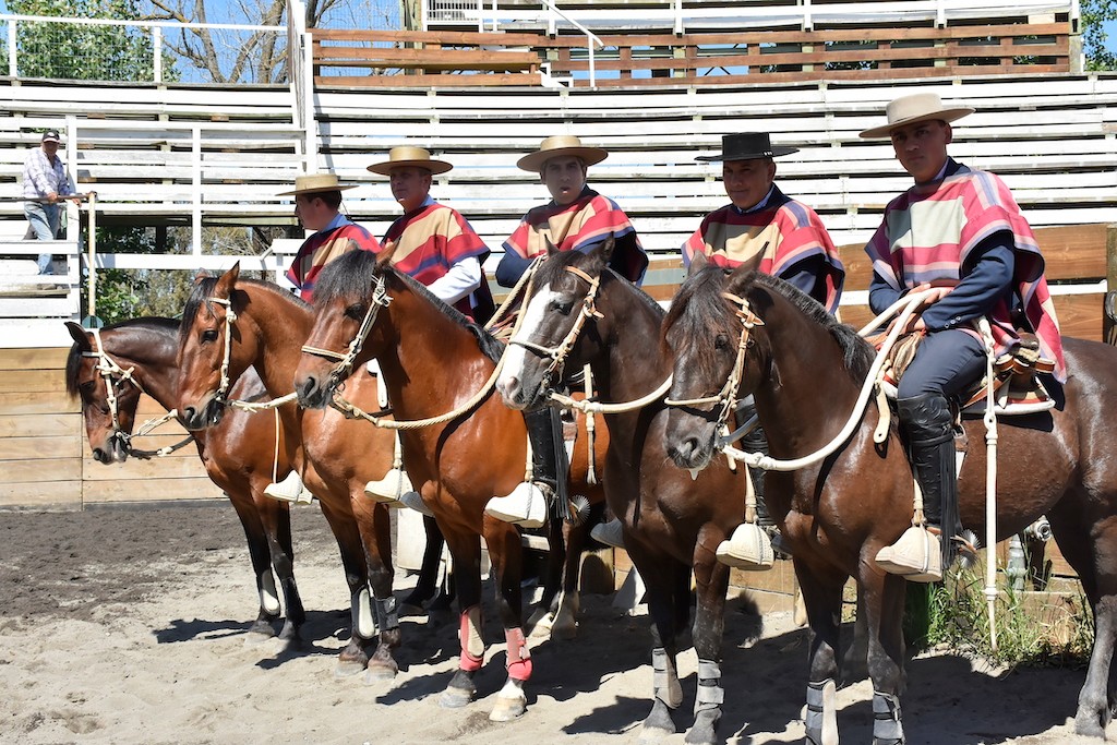 El Club Tinajón de la Asociación de Rodeo Biobío fue el organizador de una gran fiesta corralera / La Tribuna