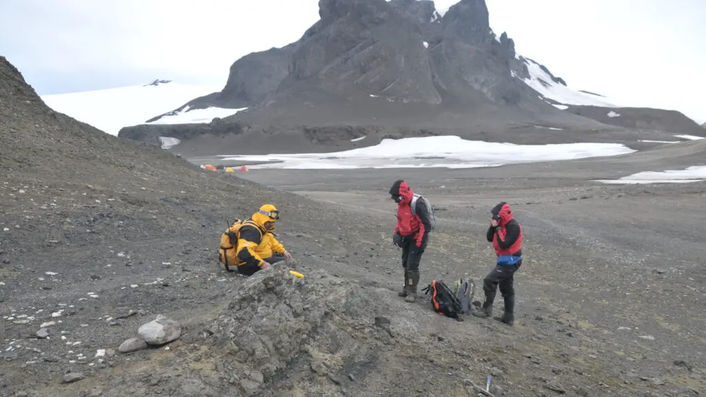 El equipo trabaja actualmente en comparaciones con ejemplares fósiles del sur de Sudamérica y Asia., INACH