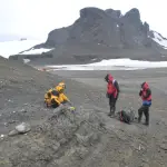 El equipo trabaja actualmente en comparaciones con ejemplares fósiles del sur de Sudamérica y Asia., INACH