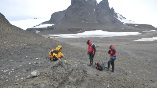 La Antártica fue verde: descubren fósil de una especie vegetal única de la era de los dinosaurios