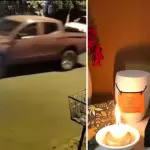 Vecinos buscan a conductor que atropelló y mató a una perrita en Nacimiento, Diario La Tribuna