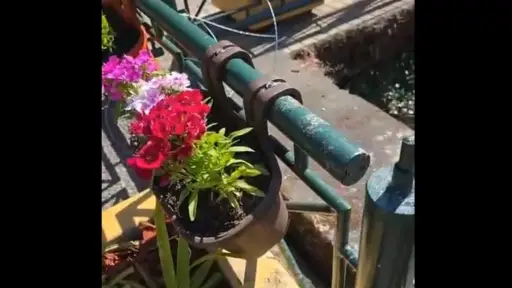 Incrementan exigencias de patrullaje en respuesta a robos en Los Ángeles